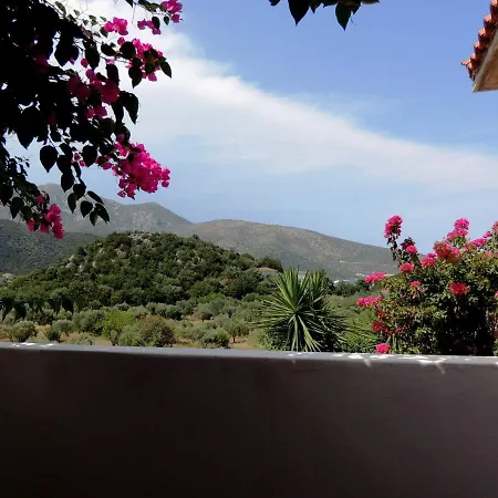 Meda House Hotel